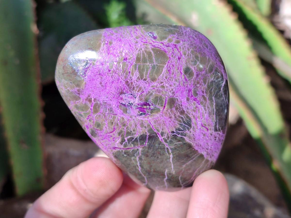 Polished Stichtite Free Forms x 6 From Barberton, South Africa - Toprock Gemstones and Minerals 
