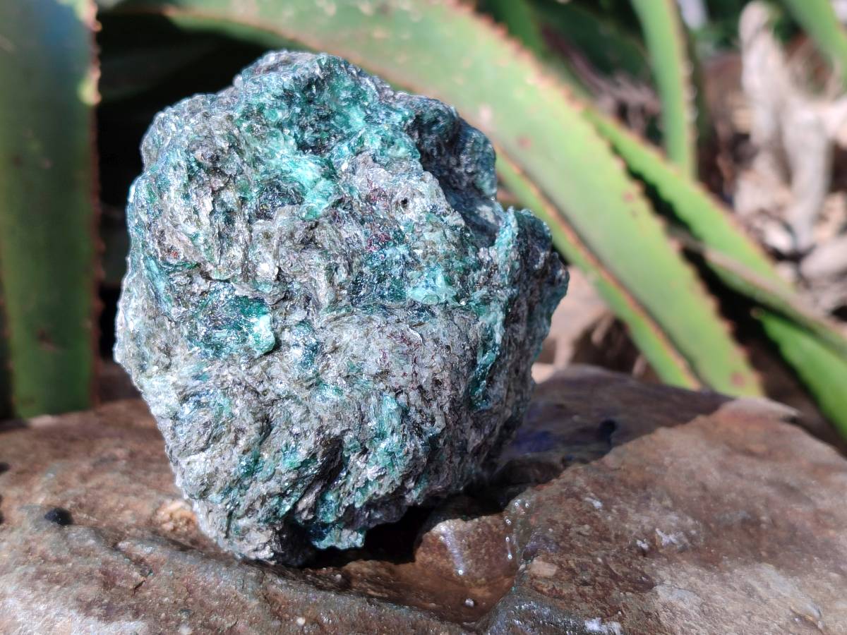 Natural Emerald Mica 'Mutokolite' Specimens x 5 From Mutoko, Zimbabwe - Toprock Gemstones and Minerals 