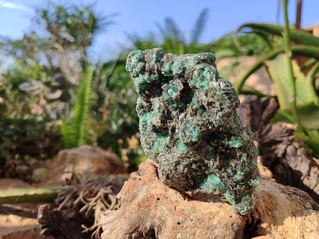 Natural Emerald Mica 'Mutokolite' Specimens x 5 From Mutoko, Zimbabwe - Toprock Gemstones and Minerals 