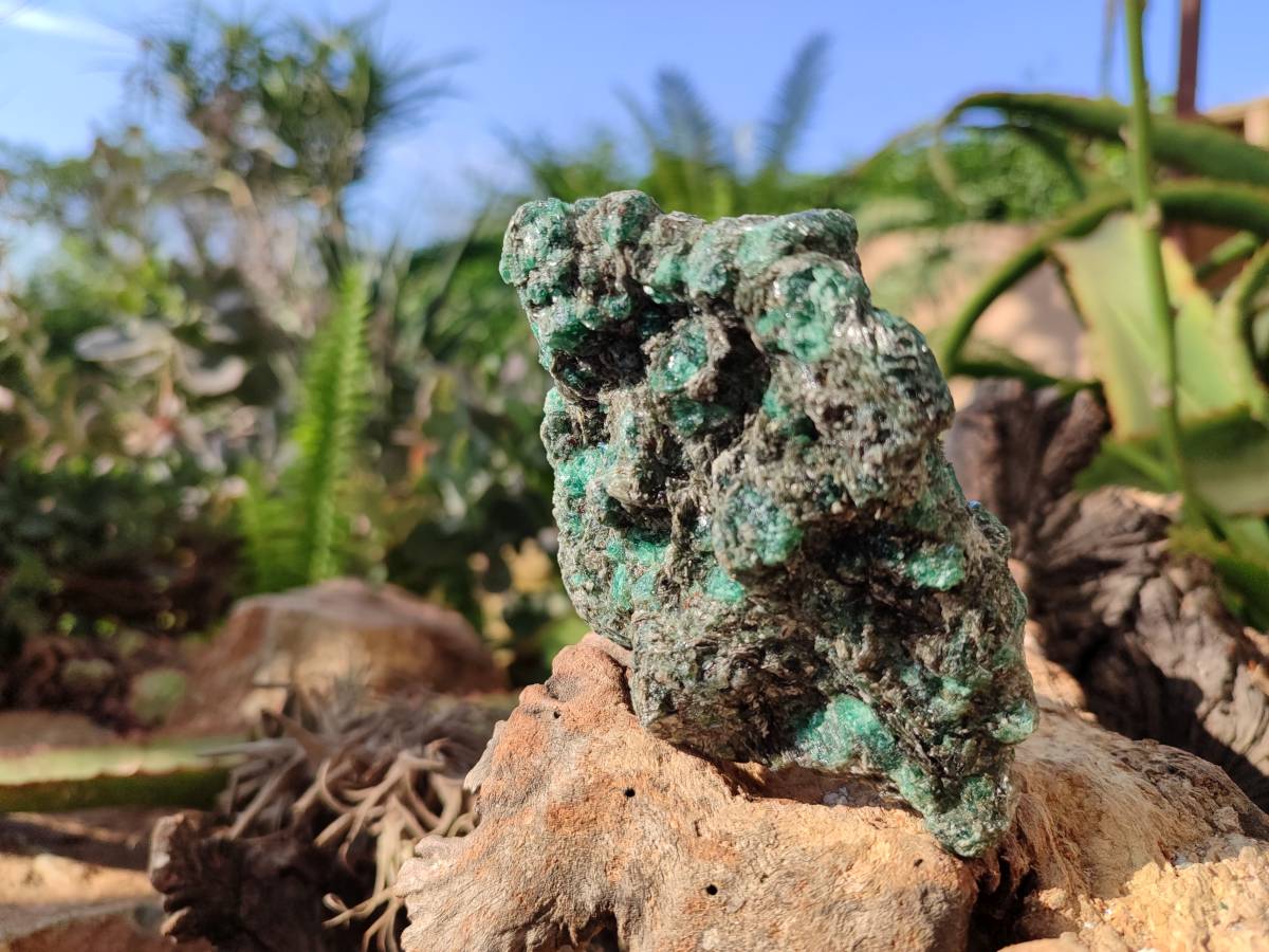 Natural Emerald Mica 'Mutokolite' Specimens x 5 From Mutoko, Zimbabwe - Toprock Gemstones and Minerals 