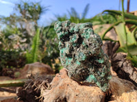 Natural Emerald Mica 'Mutokolite' Specimens x 5 From Mutoko, Zimbabwe - Toprock Gemstones and Minerals 