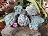 Natural Emerald Mica 'Mutokolite' Specimens x 5 From Mutoko, Zimbabwe - Toprock Gemstones and Minerals 