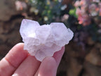 Natural Amethyst Spirit Quartz Clusters x 20 From South Africa - Toprock Gemstones and Minerals 