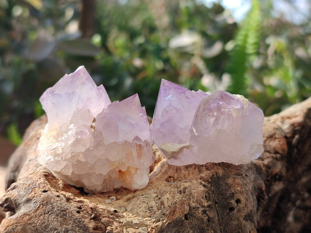 Natural Amethyst Spirit Quartz Clusters x 20 From South Africa - Toprock Gemstones and Minerals 