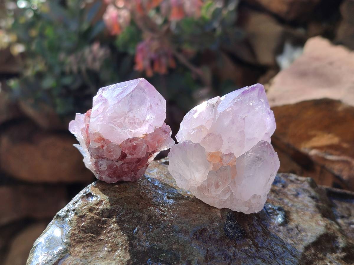 Natural Amethyst Spirit Quartz Clusters x 20 From South Africa - Toprock Gemstones and Minerals 