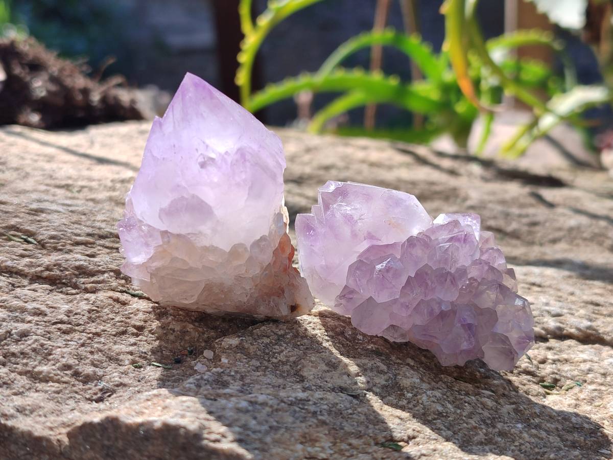Natural Amethyst Spirit Quartz Clusters x 20 From South Africa - Toprock Gemstones and Minerals 