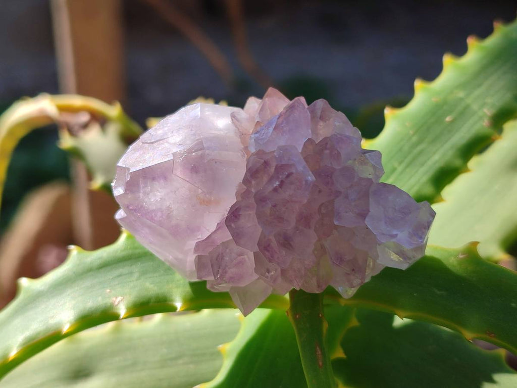 Natural Amethyst Spirit Quartz Clusters x 20 From South Africa - Toprock Gemstones and Minerals 