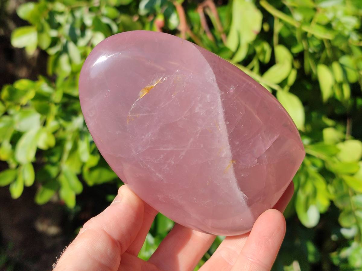 Polished Rose Quartz Standing Free Forms x 2 From Madagascar - Toprock Gemstones and Minerals 