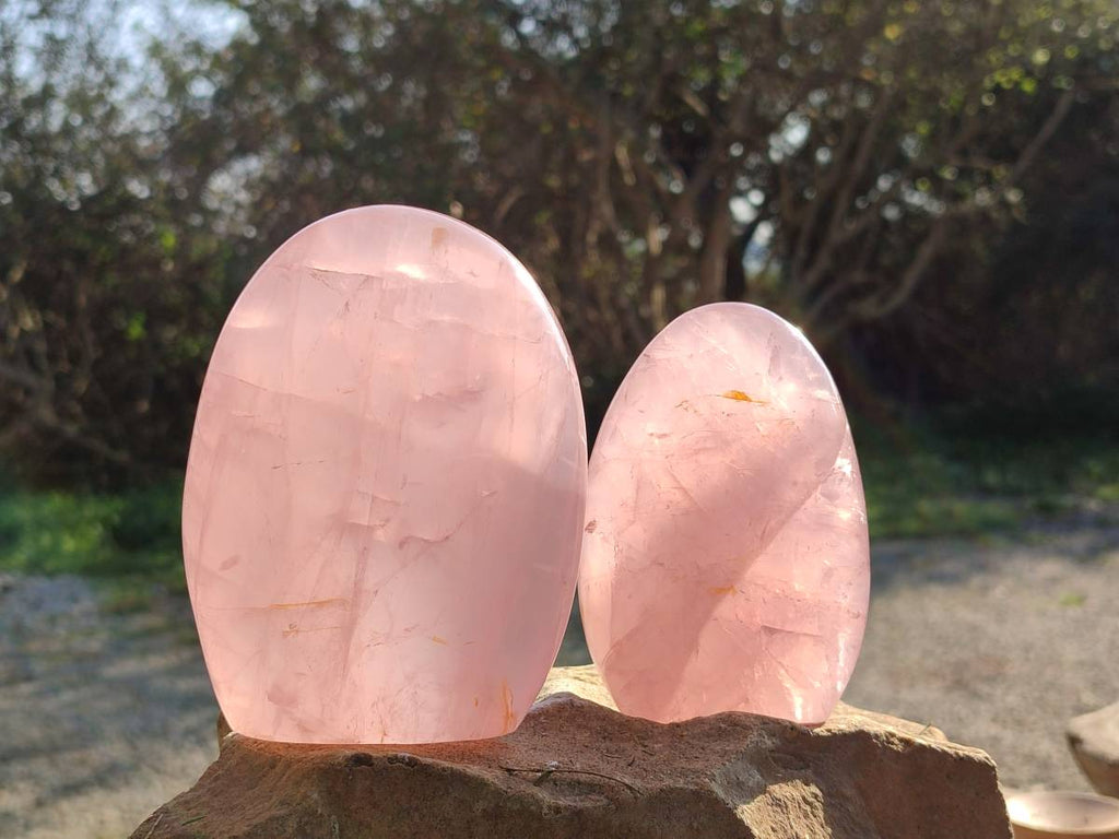 Polished Rose Quartz Standing Free Forms x 2 From Madagascar - Toprock Gemstones and Minerals 