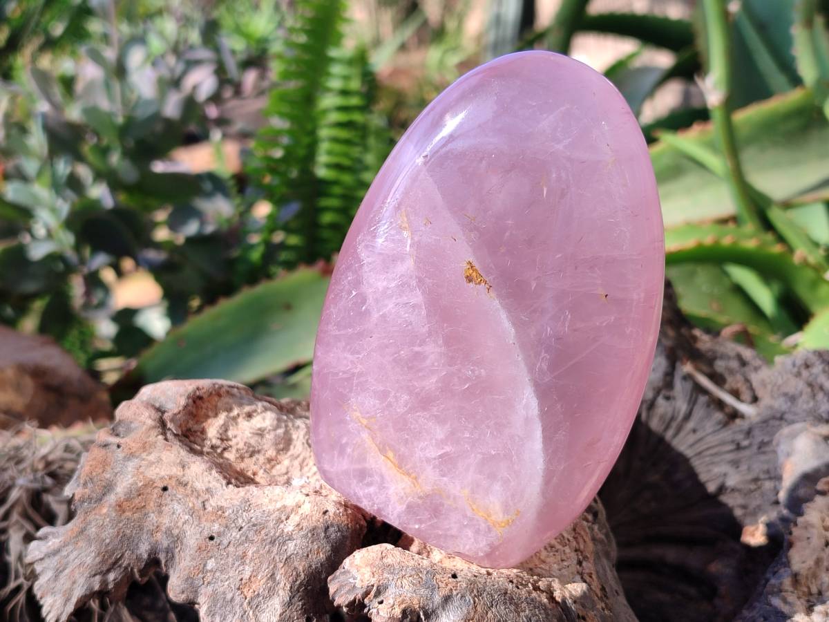 Polished Rose Quartz Standing Free Forms x 2 From Madagascar - Toprock Gemstones and Minerals 