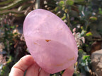 Polished Rose Quartz Standing Free Forms x 2 From Madagascar - Toprock Gemstones and Minerals 
