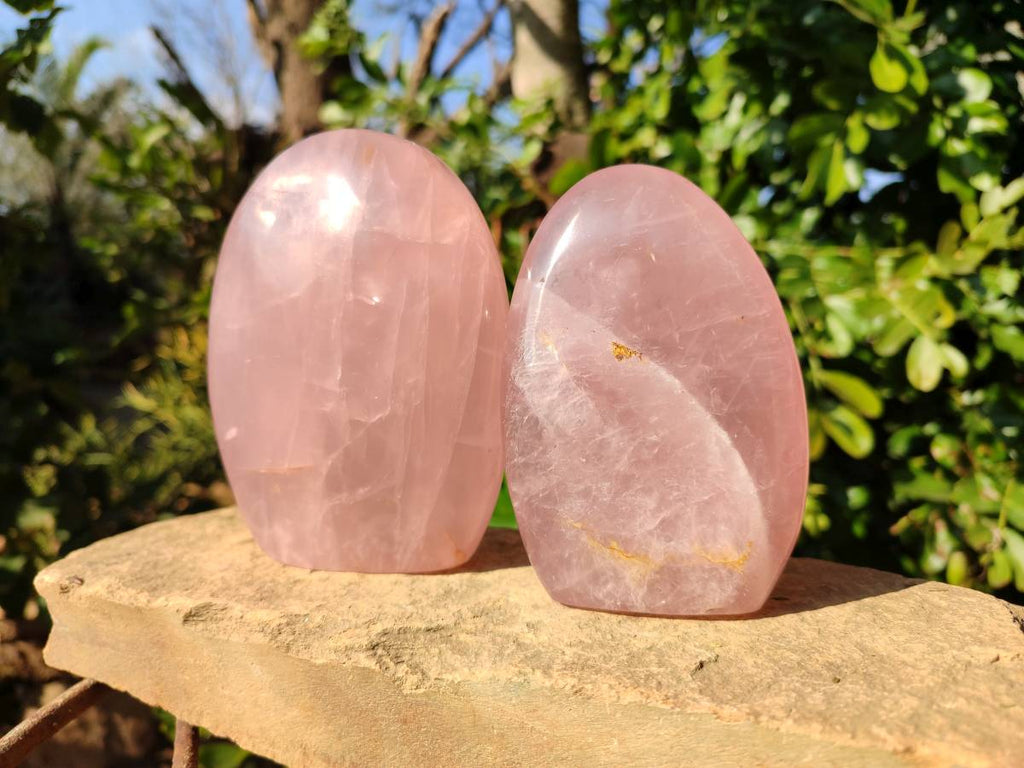 Polished Rose Quartz Standing Free Forms x 2 From Madagascar - Toprock Gemstones and Minerals 