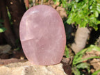 Polished Rose Quartz Standing Free Forms x 2 From Madagascar - Toprock Gemstones and Minerals 