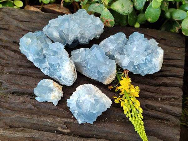 Natural Celestite Specimens x 6 From Sakoany, Madagascar - Toprock Gemstones and Minerals 