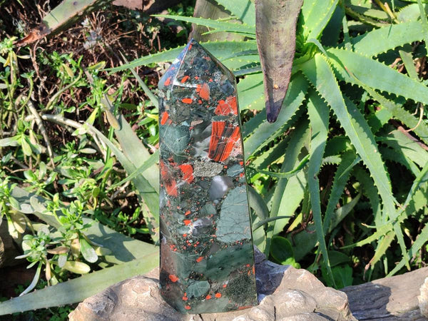 Polished Bloodstone Tower x 1 From Swaziland