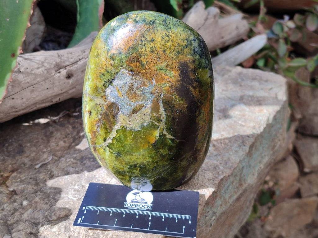 Polished Green Opal Standing Free Form x 1 From Madagascar - Toprock Gemstones and Minerals 