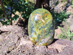 Polished Green Opal Standing Free Form x 1 From Madagascar - Toprock Gemstones and Minerals 