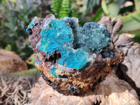 Natural Ball Malachite On Dolomite Matrix Specimens x 2 From Kambove, Congo - Toprock Gemstones and Minerals 