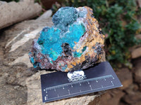 Natural Ball Malachite On Dolomite Matrix Specimens x 2 From Kambove, Congo - Toprock Gemstones and Minerals 