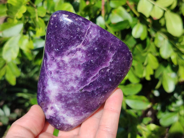 Polished Lepidolite Standing Free Forms x 2 From Zimbabwe