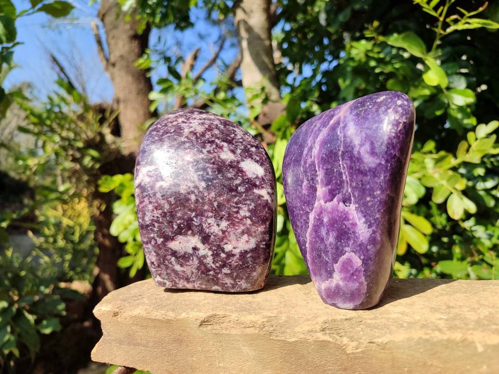Polished Lepidolite Standing Free Forms x 2 From Zimbabwe - Toprock Gemstones and Minerals 