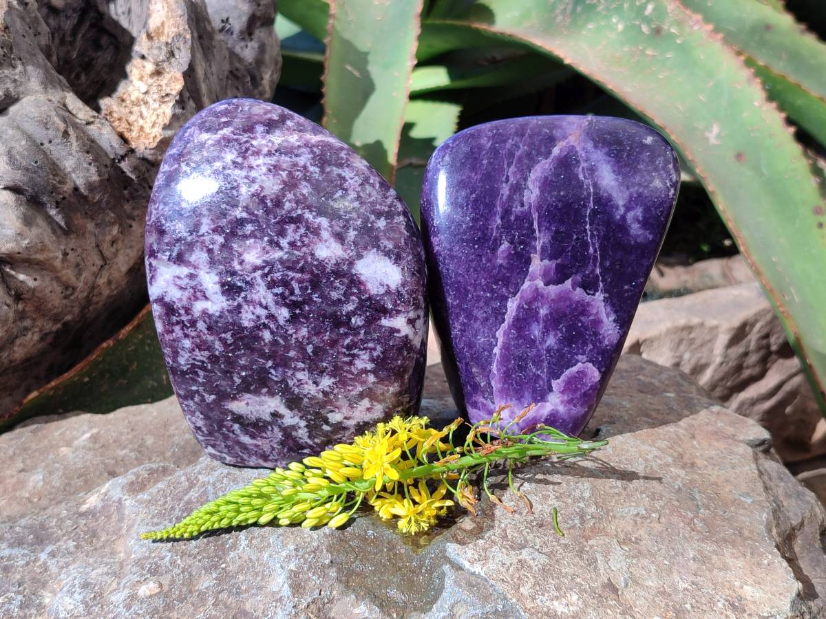 Polished Lepidolite Standing Free Forms x 2 From Zimbabwe - Toprock Gemstones and Minerals 