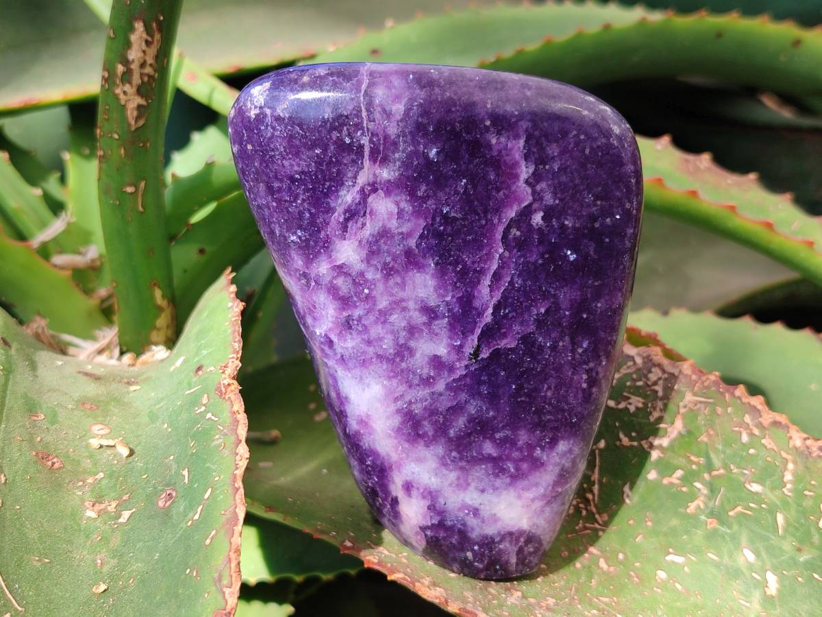 Polished Lepidolite Standing Free Forms x 2 From Zimbabwe - Toprock Gemstones and Minerals 