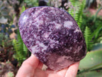 Polished Lepidolite Standing Free Forms x 2 From Zimbabwe - Toprock Gemstones and Minerals 