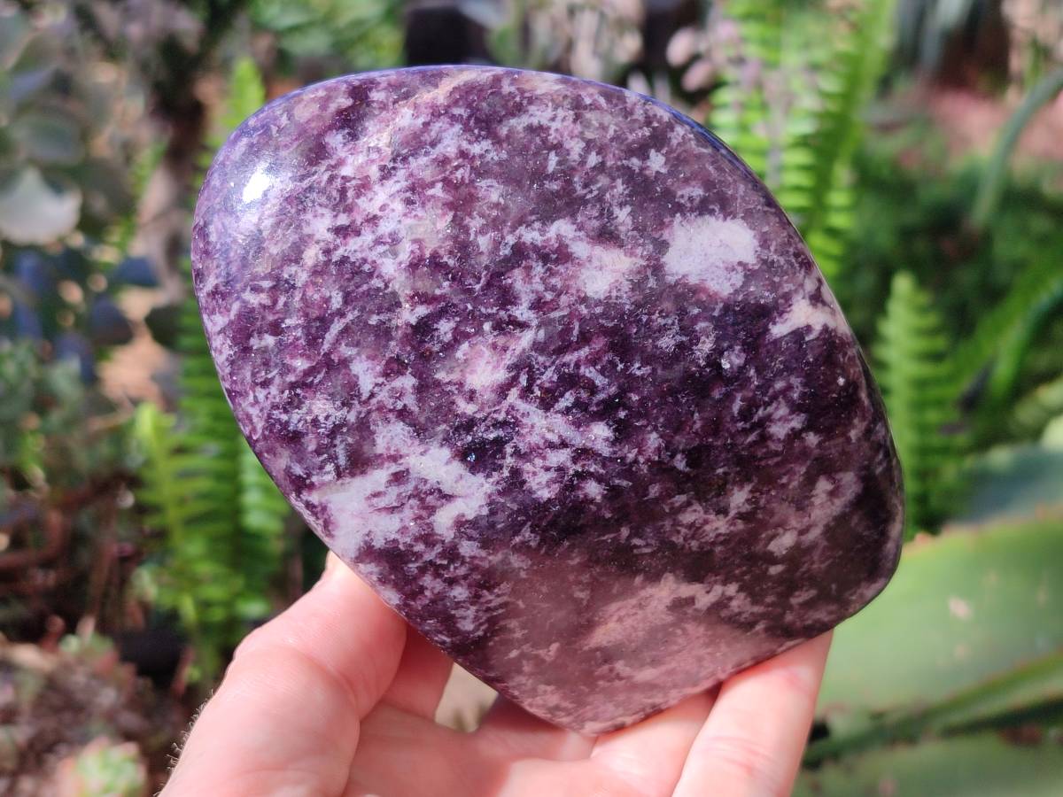 Polished Lepidolite Standing Free Forms x 2 From Zimbabwe - Toprock Gemstones and Minerals 