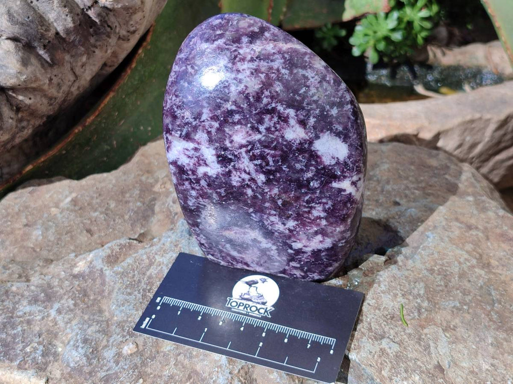 Polished Lepidolite Standing Free Forms x 2 From Zimbabwe - Toprock Gemstones and Minerals 