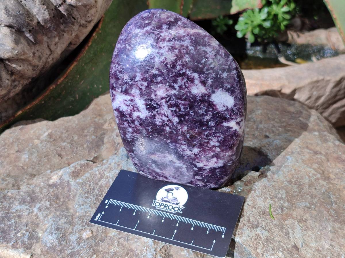 Polished Lepidolite Standing Free Forms x 2 From Zimbabwe - Toprock Gemstones and Minerals 