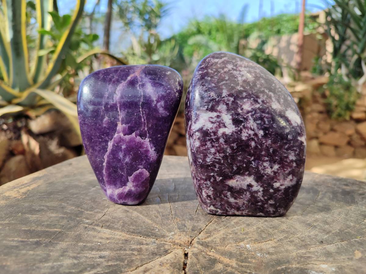 Polished Lepidolite Standing Free Forms x 2 From Zimbabwe - Toprock Gemstones and Minerals 