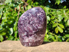 Polished Lepidolite Standing Free Forms x 2 From Zimbabwe - Toprock Gemstones and Minerals 