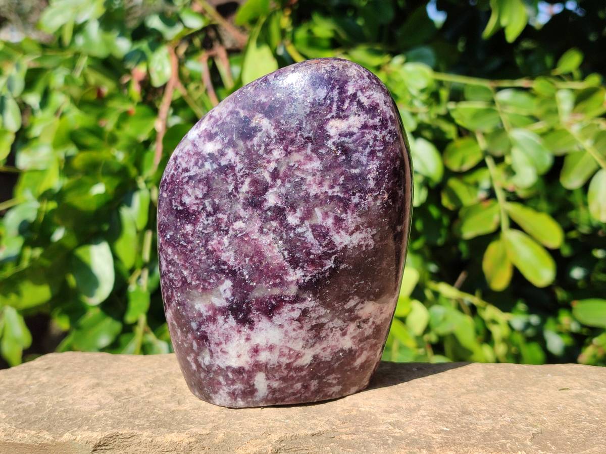 Polished Lepidolite Standing Free Forms x 2 From Zimbabwe - Toprock Gemstones and Minerals 