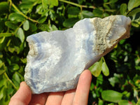Natural Blue Lace Agate Geode Specimens x 12 From Malawi