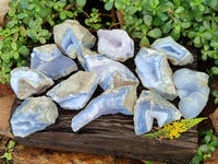 Natural Blue Lace Agate Geode Specimens x 12 From Malawi