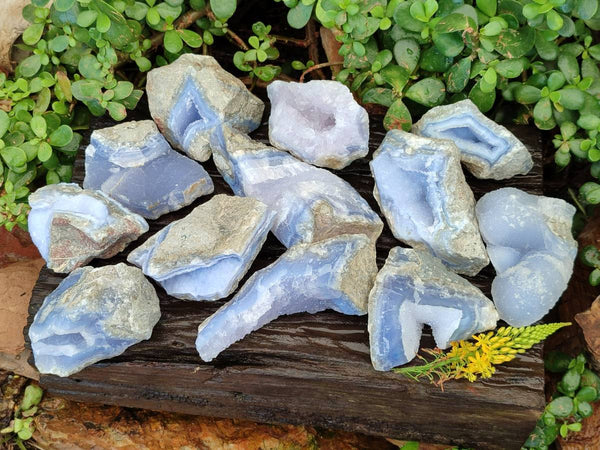 Natural Blue Lace Agate Geode Specimens x 12 From Malawi