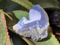 Natural Blue Lace Agate Geode Specimens x 12 From Malawi