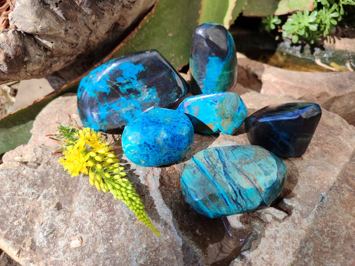 Polished Shattuckite Free Forms x 6 From Kaokoveld, Namibia - Toprock Gemstones and Minerals 