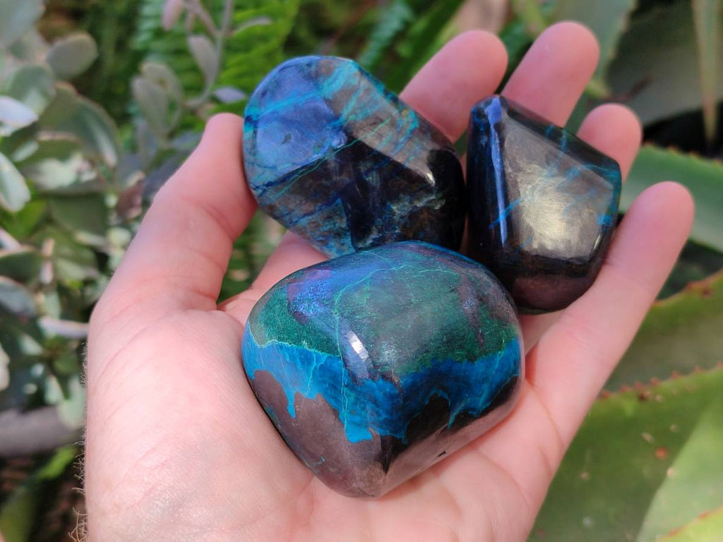 Polished Shattuckite Free Forms x 6 From Kaokoveld, Namibia - Toprock Gemstones and Minerals 