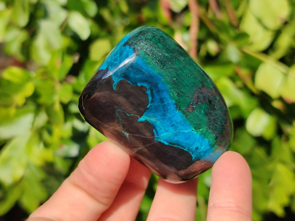 Polished Shattuckite Free Forms x 6 From Kaokoveld, Namibia - Toprock Gemstones and Minerals 