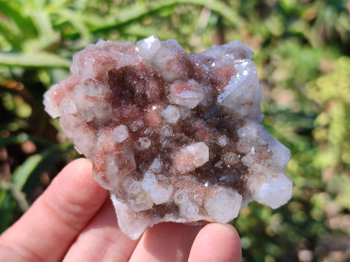 Natural Fairy Spirit Quartz Clusters x 6 From South Africa - Toprock Gemstones and Minerals 