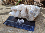 Natural Fairy Spirit Quartz Clusters x 6 From South Africa - Toprock Gemstones and Minerals 