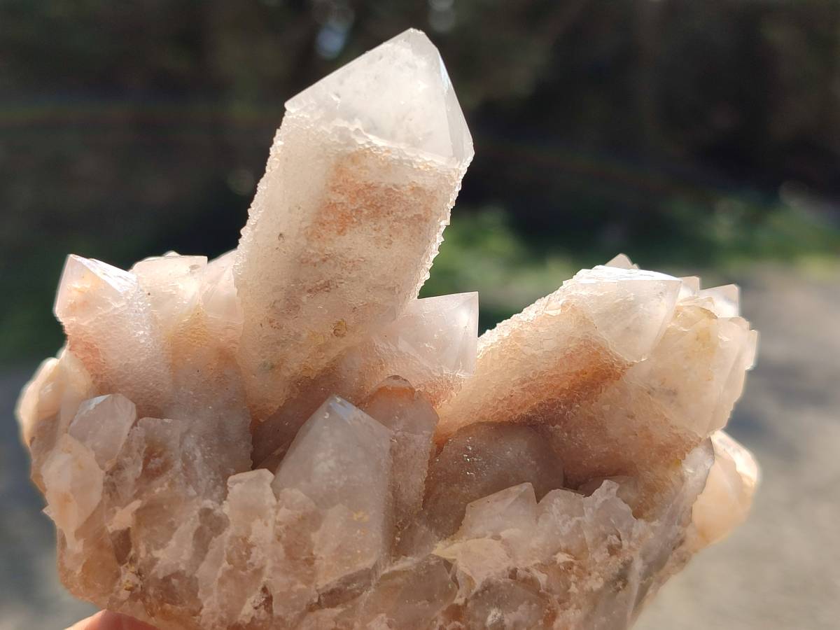 Natural Fairy Spirit Quartz Clusters x 6 From South Africa - Toprock Gemstones and Minerals 