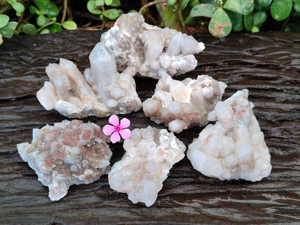 Natural Fairy Spirit Quartz Clusters x 6 From South Africa - Toprock Gemstones and Minerals 