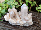 Natural Fairy Spirit Quartz Clusters x 6 From South Africa - Toprock Gemstones and Minerals 