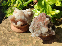 Natural Fairy Spirit Quartz Clusters x 6 From South Africa - Toprock Gemstones and Minerals 