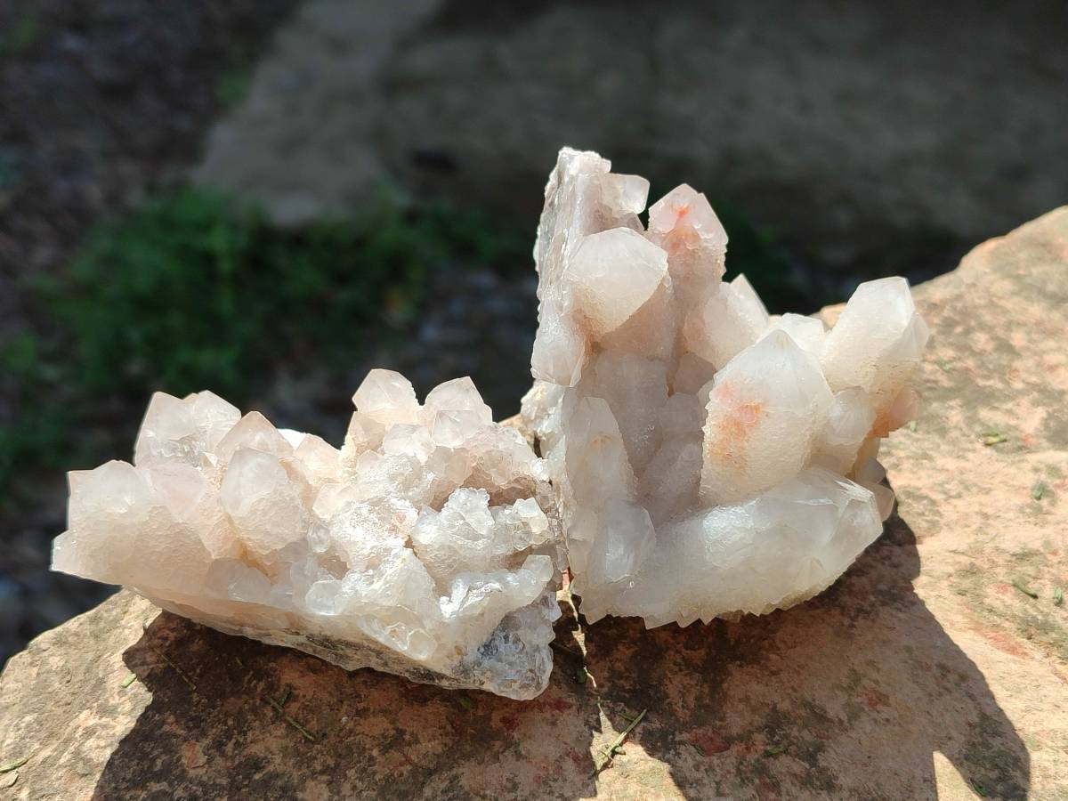 Natural Fairy Spirit Quartz Clusters x 6 From South Africa - Toprock Gemstones and Minerals 