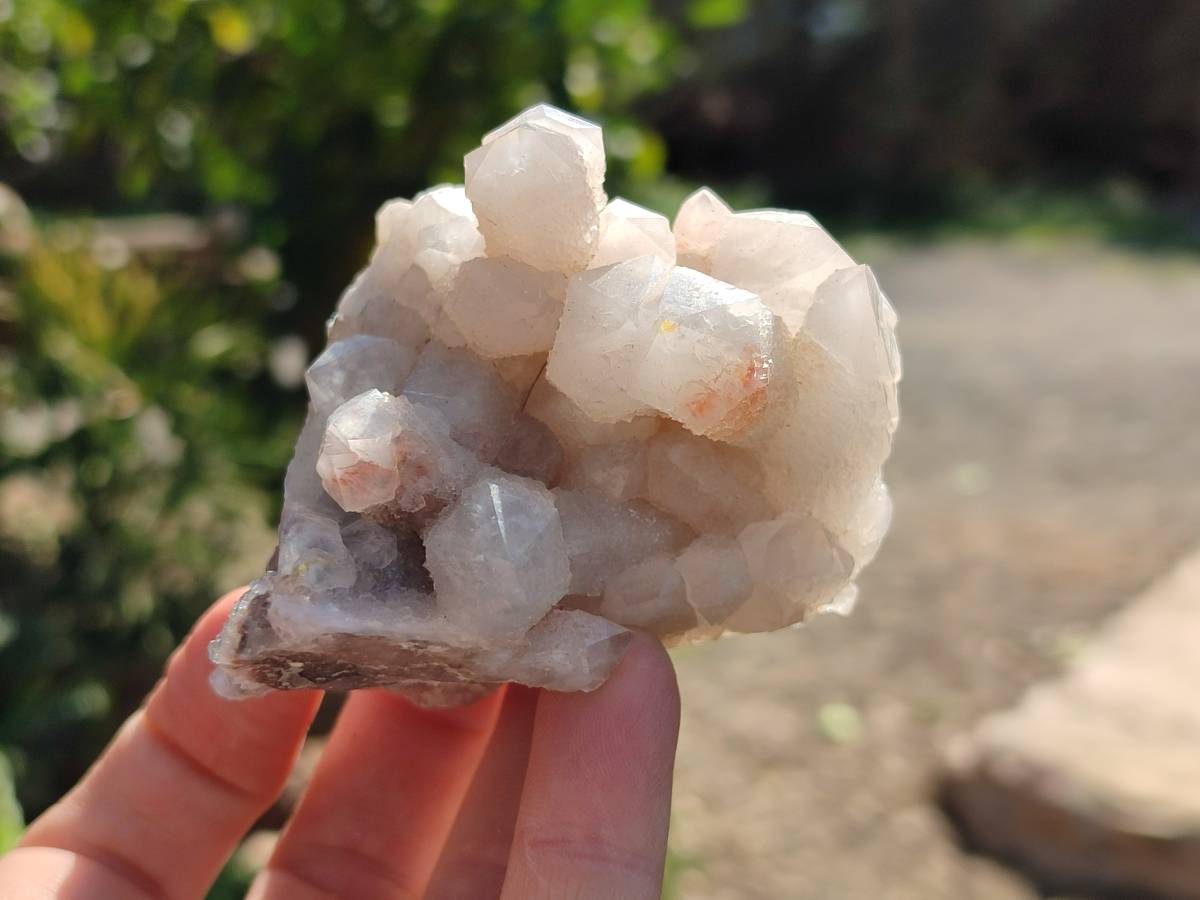 Natural Fairy Spirit Quartz Clusters x 6 From South Africa - Toprock Gemstones and Minerals 