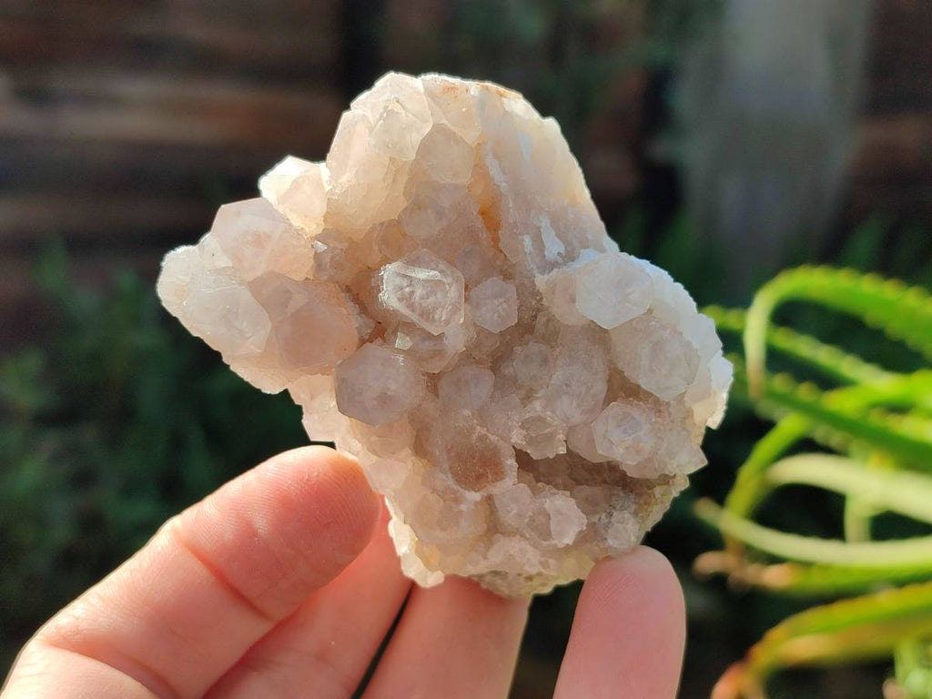Natural Fairy Spirit Quartz Clusters x 6 From South Africa - Toprock Gemstones and Minerals 